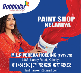 M L P Perera Holding (Pvt) Ltd