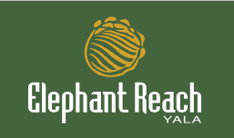 Elephant Reach