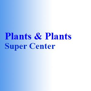 Plants & Plants Super Center