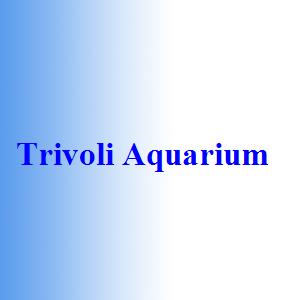 Trivoli Aquarium